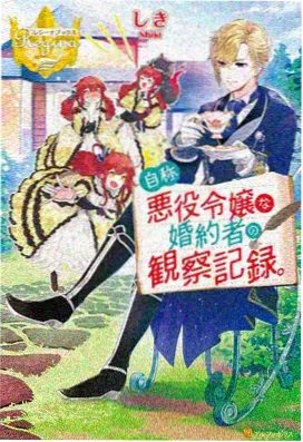 葬送的芙莉莲 动漫海报